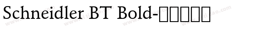 Schneidler BT Bold字体转换